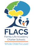 flacs_6